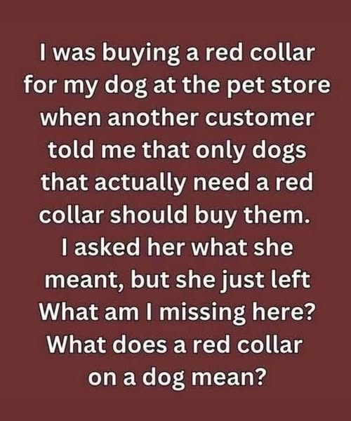 The Mystery Of The Red Collar And The Secret It Unveiled