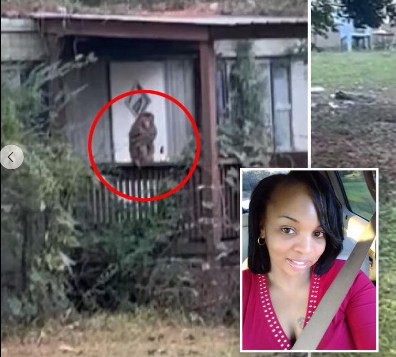 Mississippi Mom Protects Her Children After Escaped Monkey Roams Into Her Yard