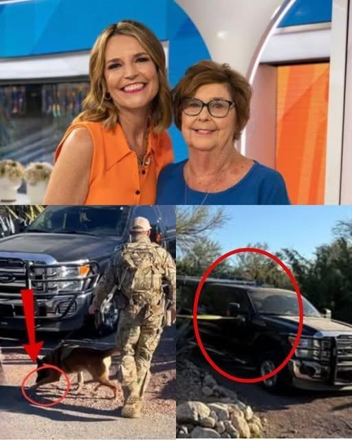 A sniffer dog has just detected a strange smell coming from the bathroom at Savannah Guthries mothers house!