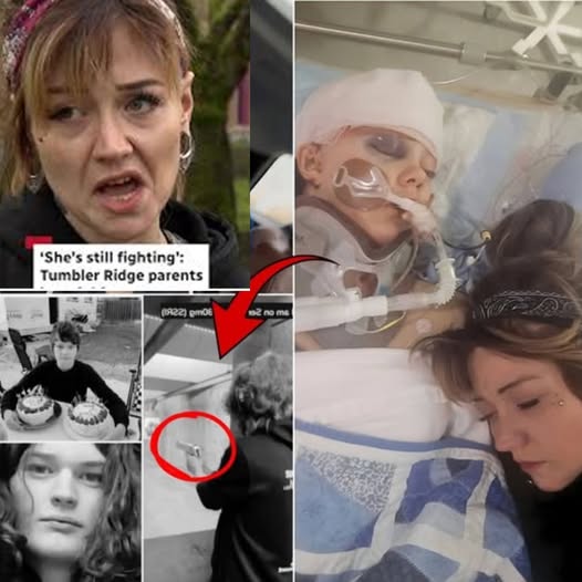 “I Never Thought I Would Have to Beg the World” — Maya Gebala Remains in Critical Condition After Tumbler Ridge Tragedy