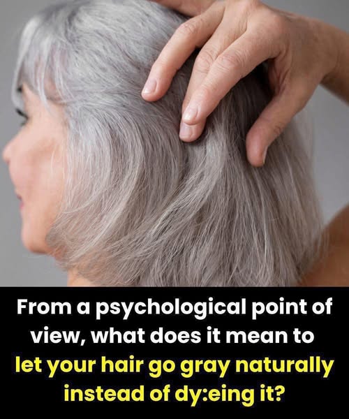 The Silver Rebellion, Why Your Gray Hair is Making Everyone Around You Panic