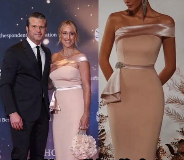 The Viral Dress From The 2026 Correspondents Dinner That Sparked A Massive National Debate