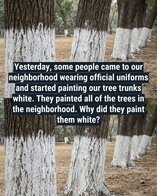 WHITE COATS IN THE ORCHARD, The Hidden Reason Experts Are Painting Tree Trunks This Season