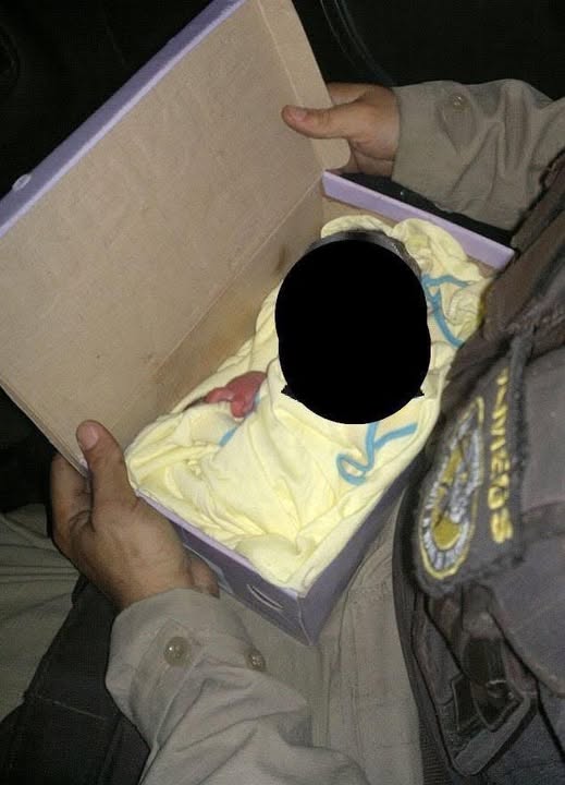 Found in the Trash, The Heartbreaking Discovery That Has Left an Entire Community Demanding Answers