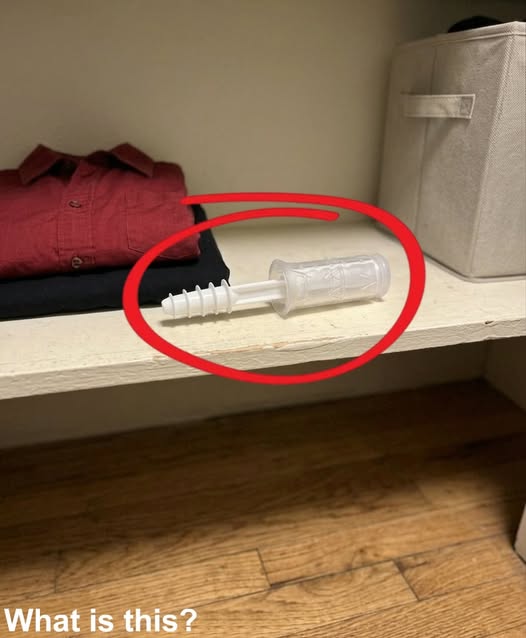 This evening, I opened my wife’s wardrobe and discovered this inside.