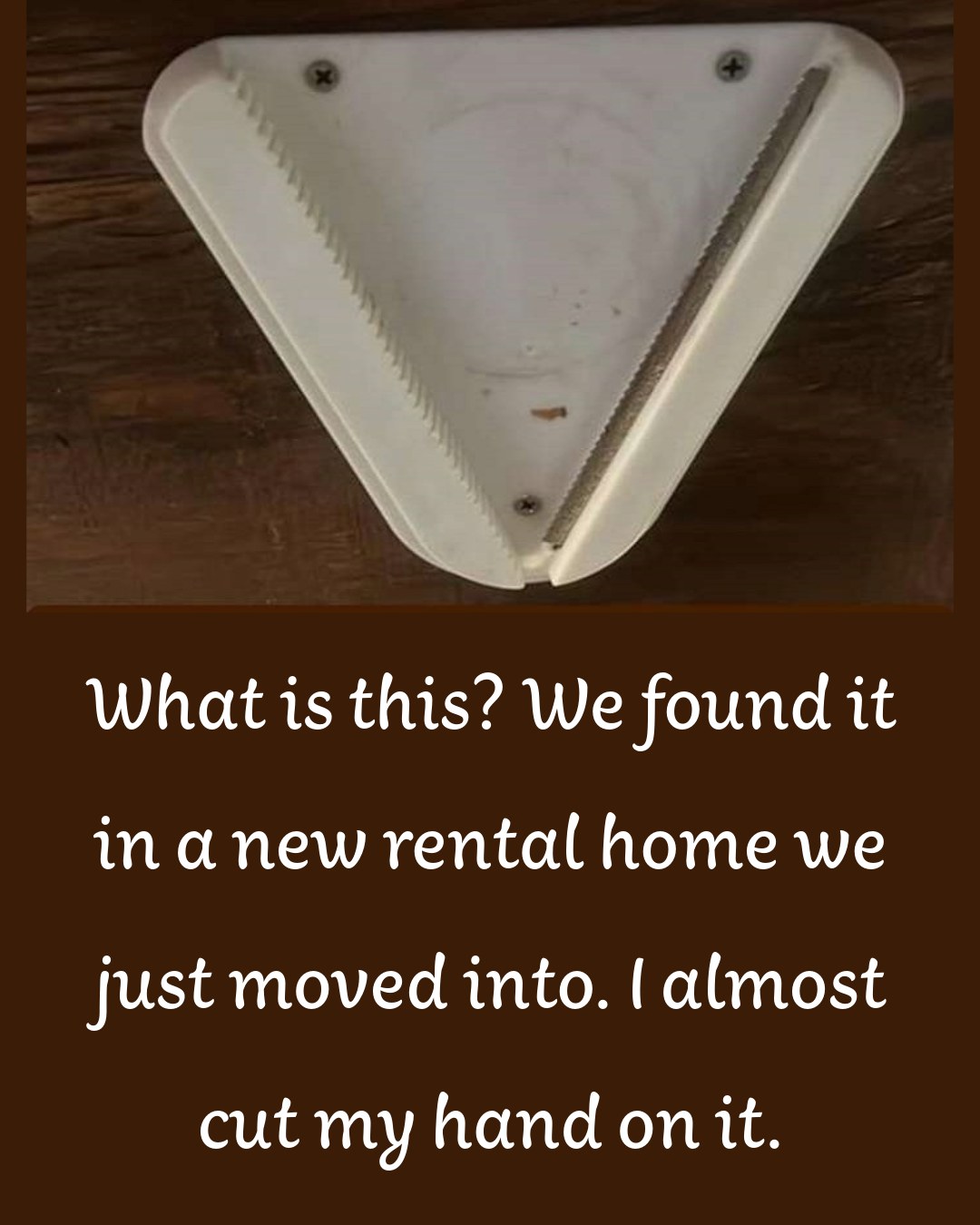 “What is this? It’s under the kitchen cabinet of the new home.”