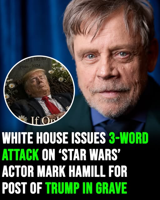 White House lashes out at ‘Star Wars’ actor Mark Hamill for post of Trump in grave
