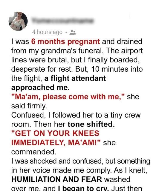 Flight Attendant Forced Me to Kneel on the Plane While Pregnant – Her Reason Left Me in Shock