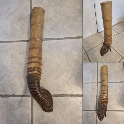 THE ANCIENT SECRET BURIED BENEATH YOUR BACKYARD THAT MOST PEOPLE NEVER NOTICE