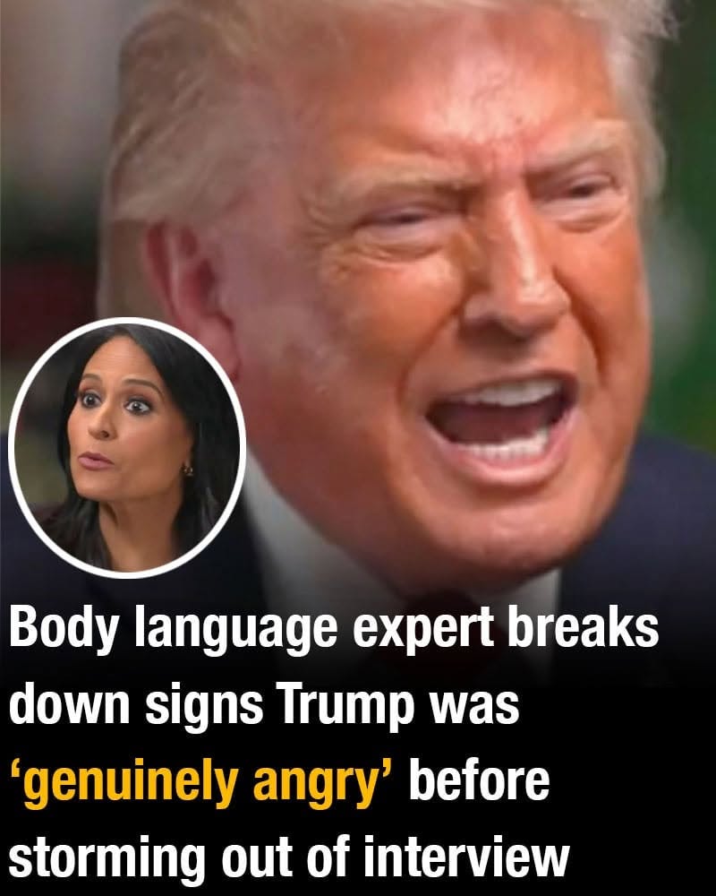 Body language expert breaks down signs Trump was ‘genuinely angry’ before storming out of interview