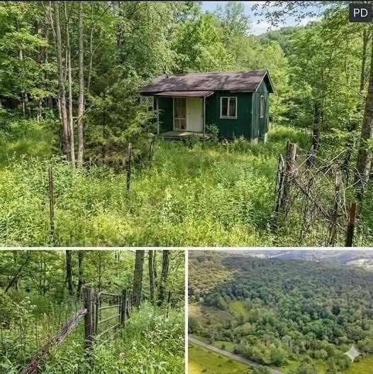 A Secluded 19000 Dollar Property Offers 15 Acres a Creek and a Tiny Bungalow