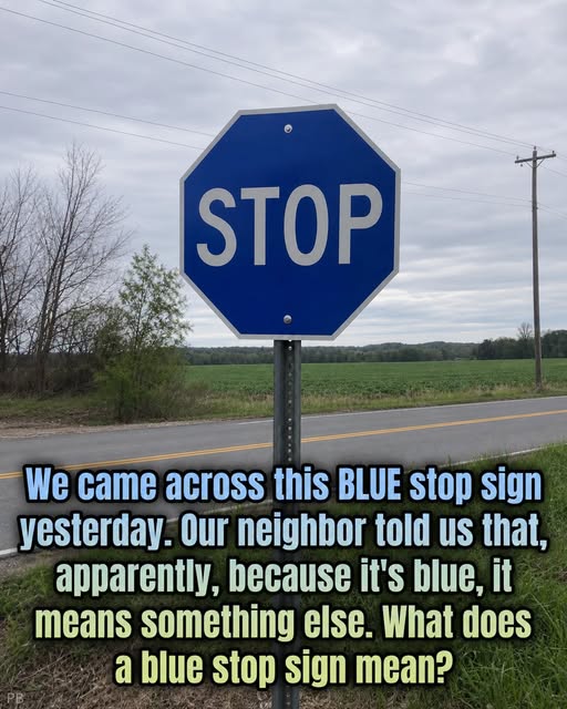 The Meaning Behind a Blue Stop Sign
