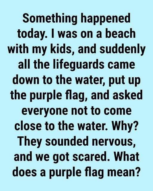 Why You May See a Purple Flag at the Beach: Understanding Ocean Safety and Marine Life Warnings