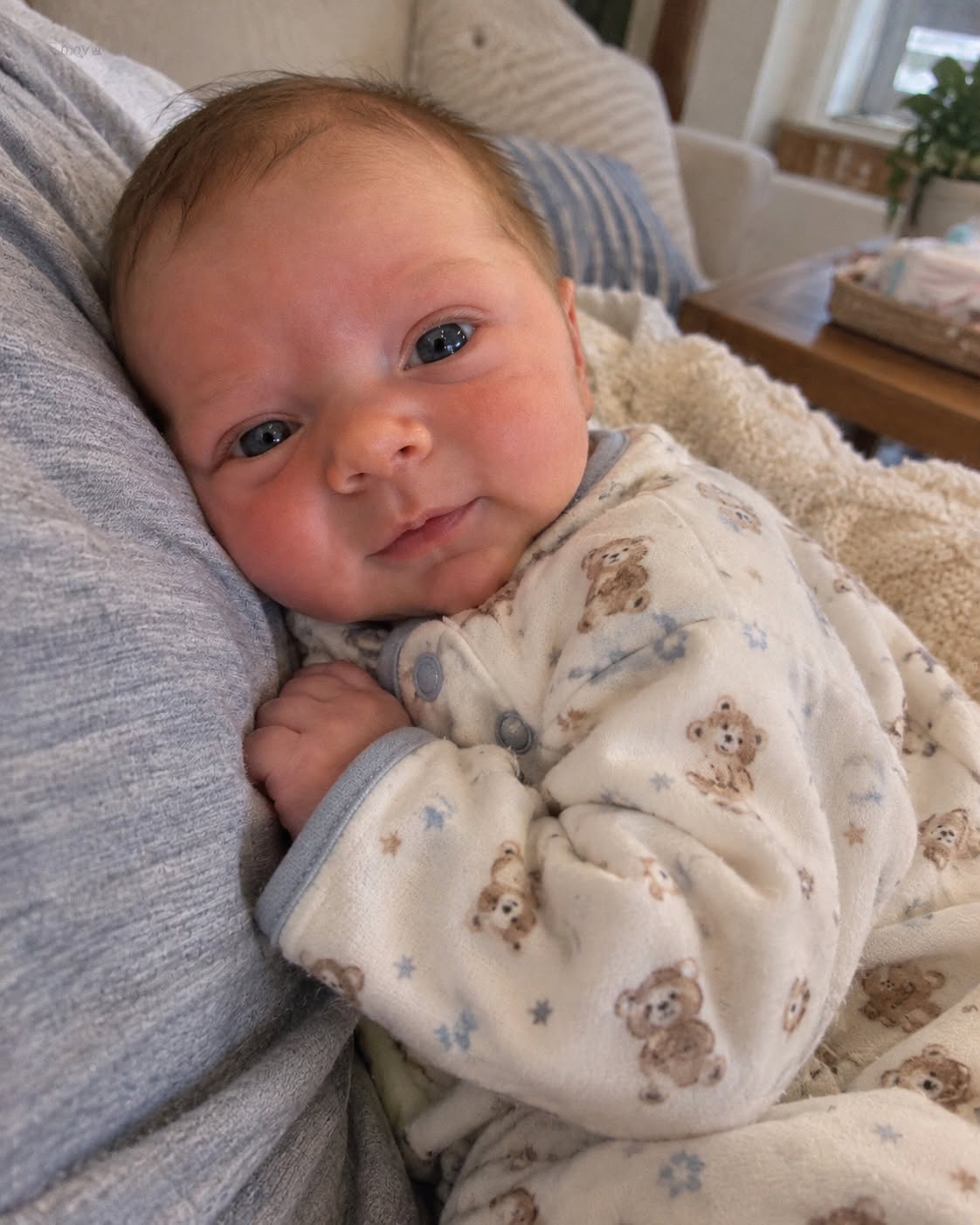 I agreed to carry a baby for my twin brother, but when he held his newborn daughter for the first time, he refused to take her home. The reason behind his decision left me completely pale.